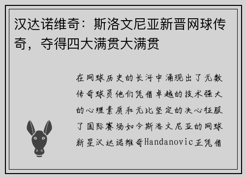 汉达诺维奇：斯洛文尼亚新晋网球传奇，夺得四大满贯大满贯